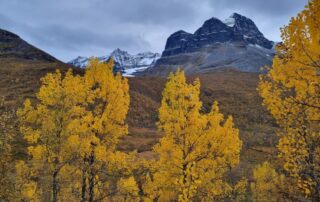årstid salg bolig høst eiendomsmegler