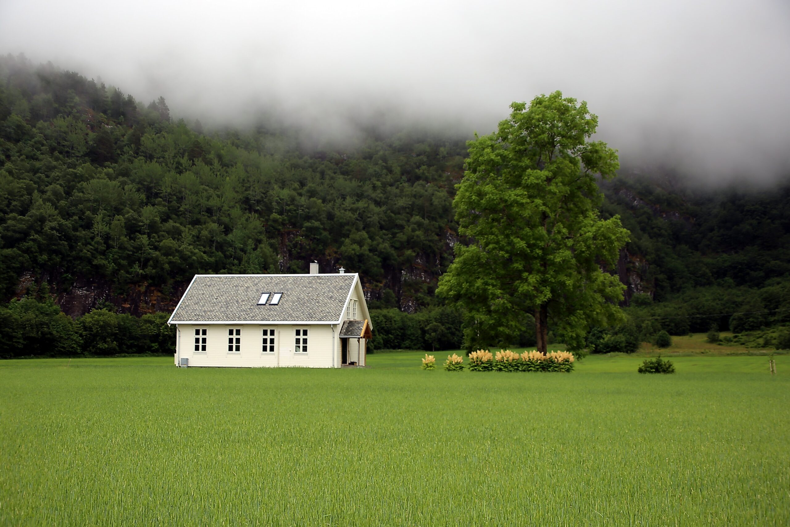 dokumentavgift og hussalg Dokumentavgift og hussalg